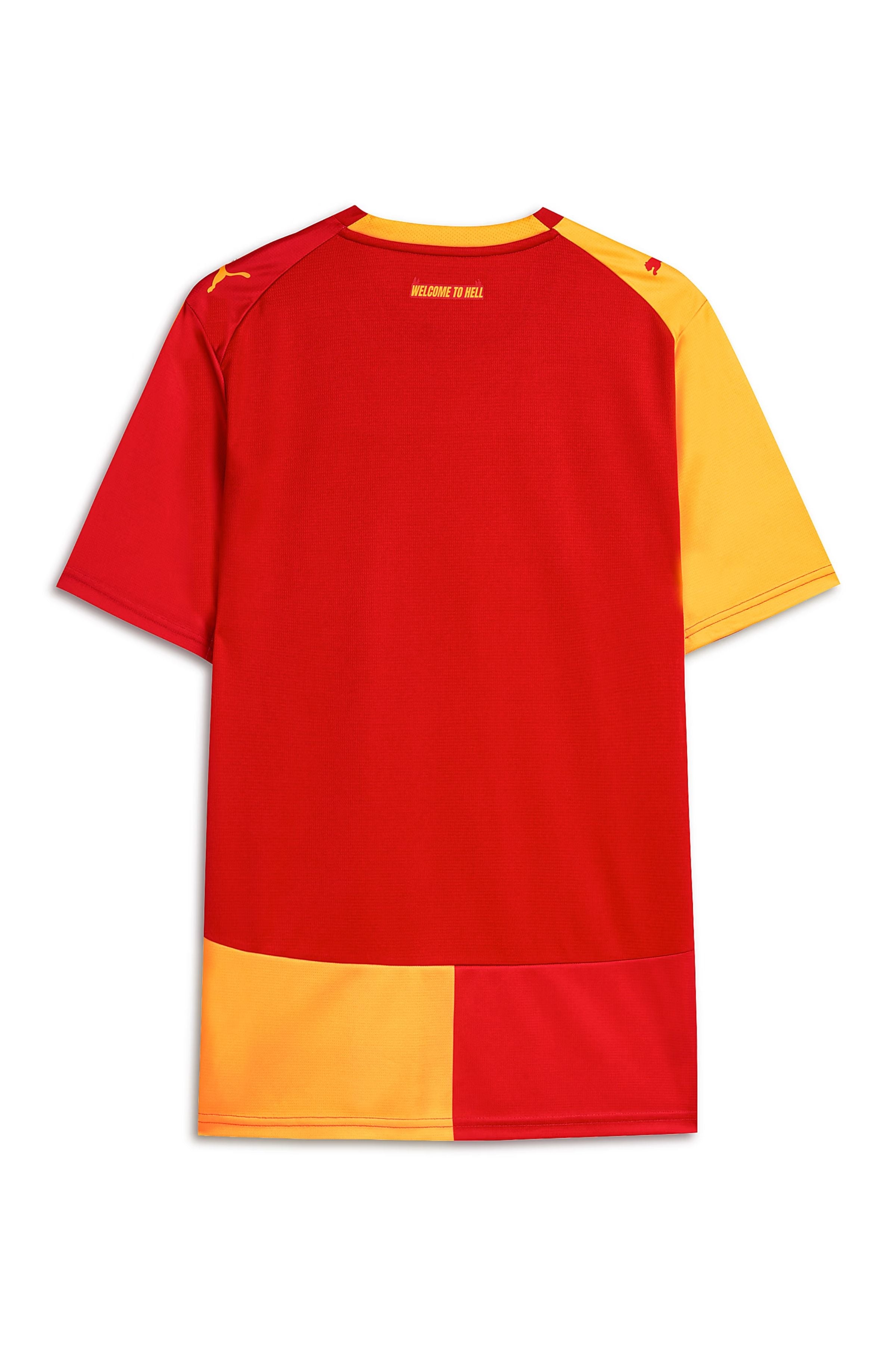 Puma Galatasaray İç Saha Unisex Forma 784991-01