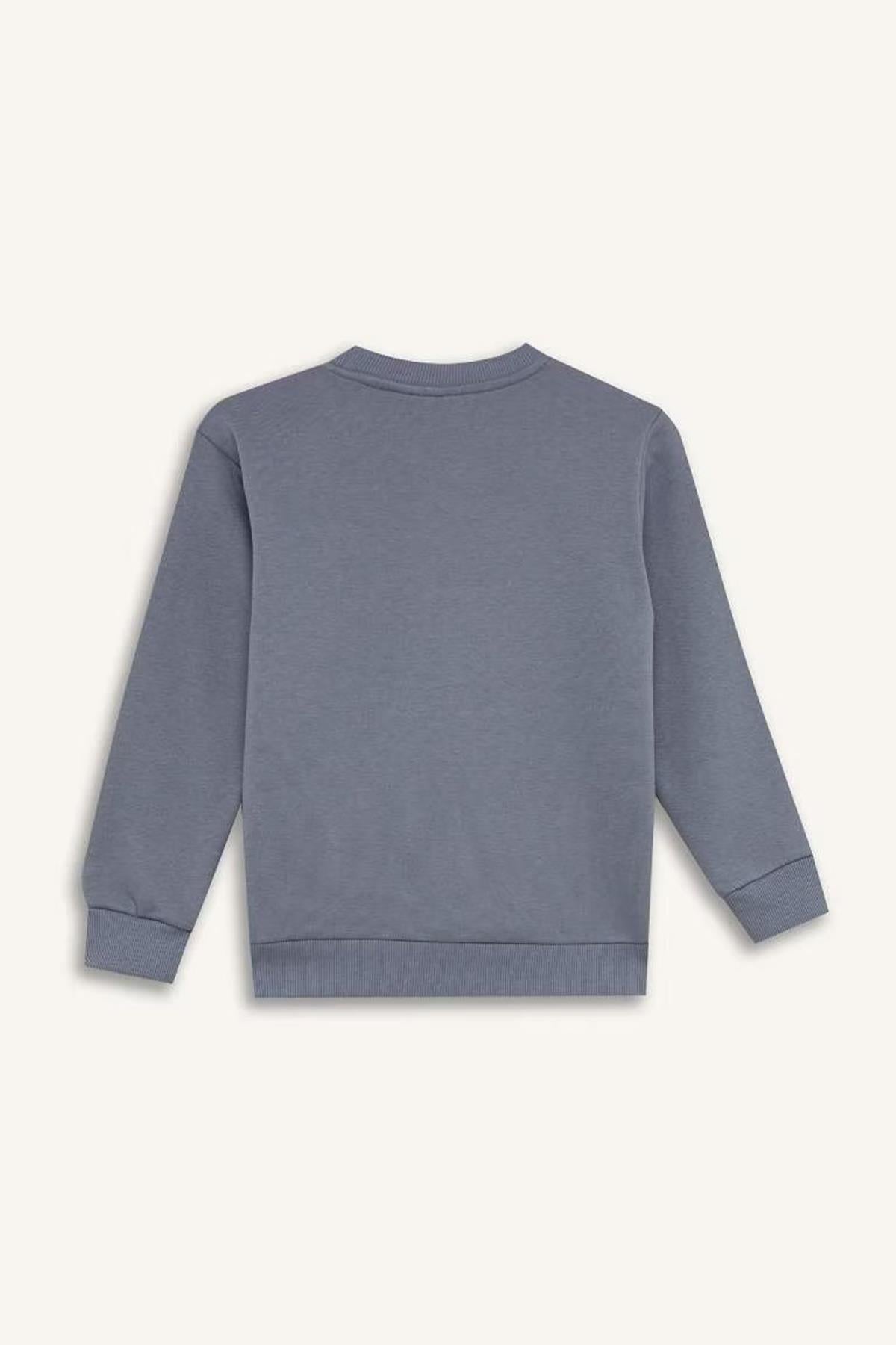 Defacto Erkek Çocuk Sweat D6738A8Trv