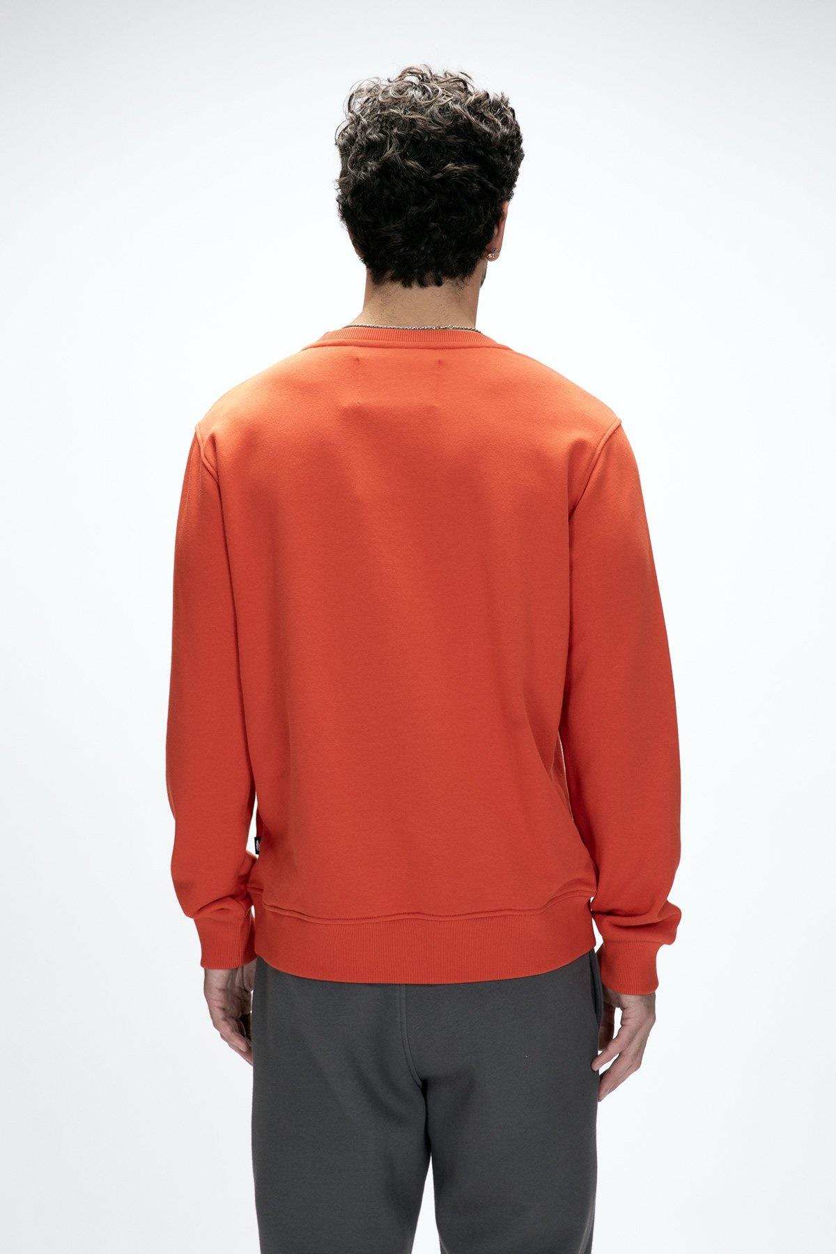 Bad Bear Mountain Erkek Sweat 250212027-C109